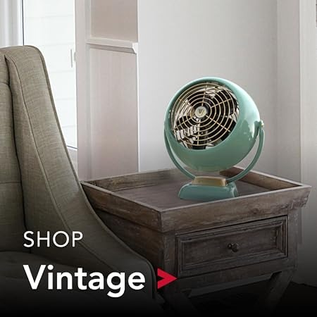 Vornado Official Shop Vornado | Complete Indoor Air Quality Lineup - Cool Mist Humidifiers & HEPA Air Purifiers For Balanced Indoor Air - Vornado Official Brand